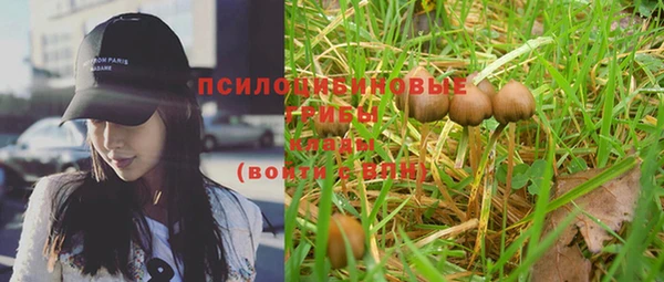 винт Вяземский
