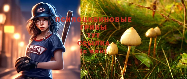 винт Вяземский