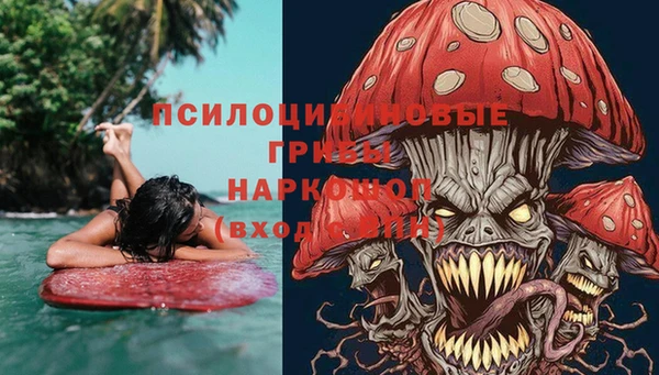 винт Вяземский
