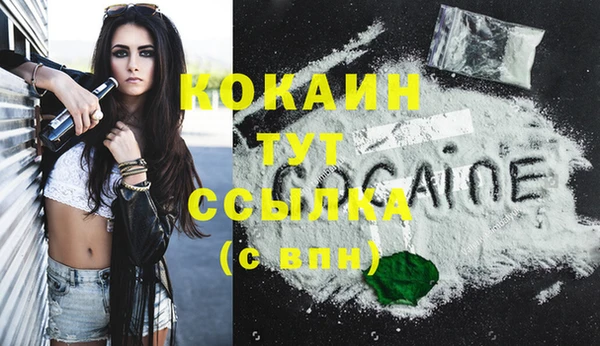 винт Вяземский