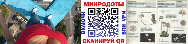 блэк спрут маркетплейс  Гагарин  Галлюциногенные грибы Psilocybe 